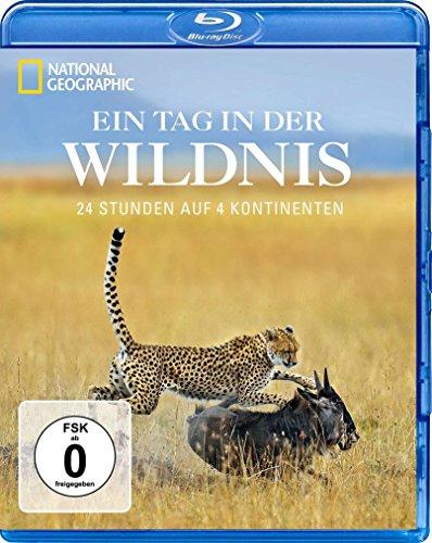 Ein Tag in der Wildnis - 24 Stunden auf 4 Kontinenten - National Geographic [Blu-ray]