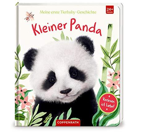 Meine erste Tierbaby-Geschichte: Kleiner Panda