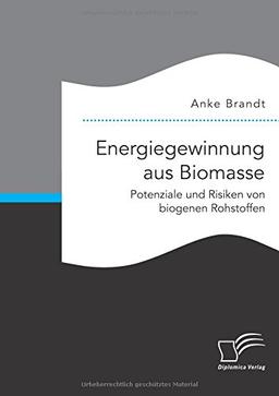 Energiegewinnung aus Biomasse. Potenziale und Risiken von biogenen Rohstoffen