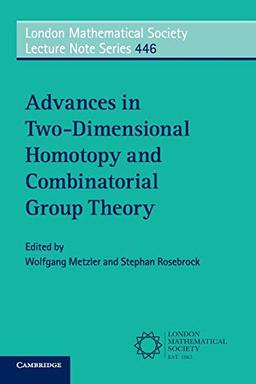 Advances in Two-Dimensional Homotopy and Combinatorial Group Theory (London Mathematical Society Lecture Note Series, Band 446)