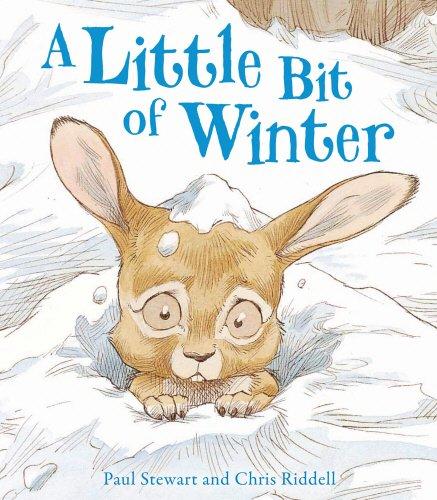 A Little Bit of Winter (Rabbit and Hedgehog, Band 7)