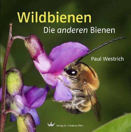 Wildbienen: Die anderen Bienen