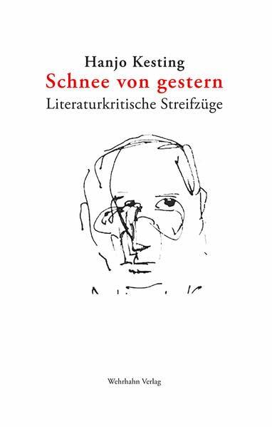 Schnee von gestern: Literaturkritische Streifzüge