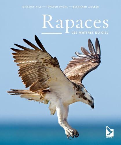 Rapaces : les maîtres du ciel