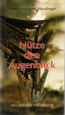 Nütze den Augenblick