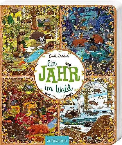 Ein Jahr im Wald: Pappbilderbuch Tiere und Jahreszeiten im Wald, ab 3 Jahren