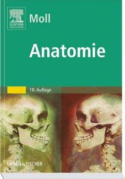 Anatomie. Kurzlehrbuch zum Gegenstandskatalog 1