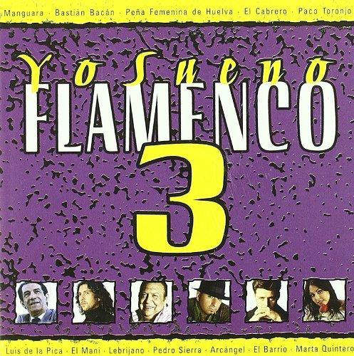 Yo Sueno Flamenco 3