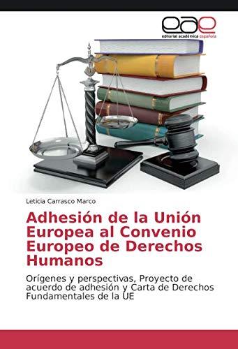 Adhesión de la Unión Europea al Convenio Europeo de Derechos Humanos: Orígenes y perspectivas, Proyecto de acuerdo de adhesión y Carta de Derechos Fundamentales de la UE