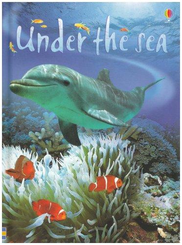 Under the Sea (Usborne Beginners)