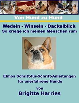 Von Hund zu Hund - Wedeln-Winseln-Dackelblick - So kriege ich meinen Menschen rum: Elmos Schritt-für-Schritt-Anleitungen für unerfahrene Hunde