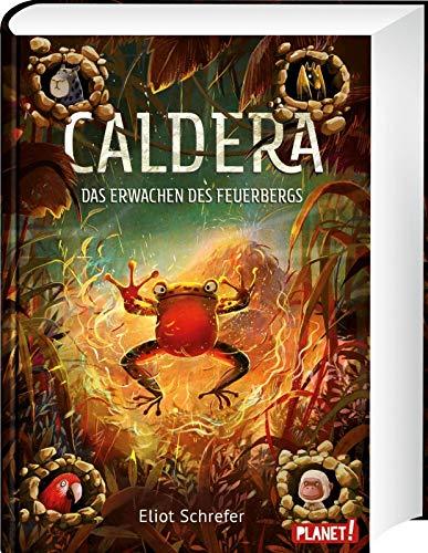 Das Erwachen des Feuerbergs (3) (Caldera, Band 3)