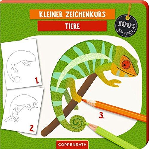 Kleiner Zeichenkurs Tiere (100% selbst gemacht)