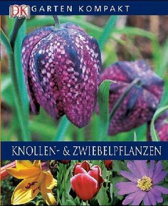 Knollen- & Zwiebelpflanzen