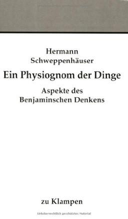 Ein Physiognom der Dinge: Aspekte des Benjaminischen Denken