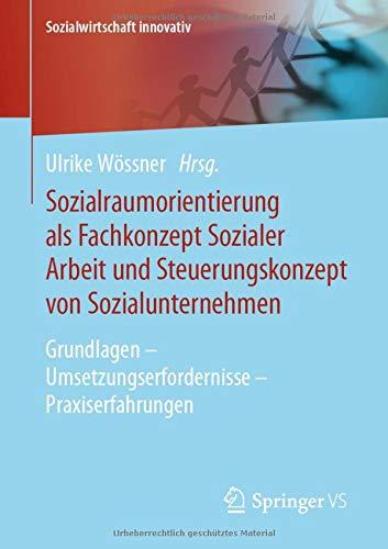 Sozialraumorientierung als Fachkonzept Sozialer Arbeit und Steuerungskonzept von Sozialunternehmen: Grundlagen – Umsetzungserfordernisse – Praxiserfahrungen (Sozialwirtschaft innovativ)