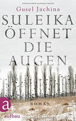 Suleika öffnet die Augen: Roman