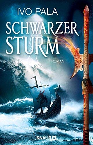 Schwarzer Sturm: Roman