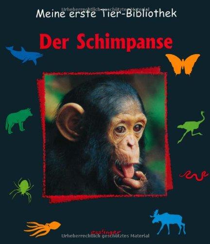 Der Schimpanse