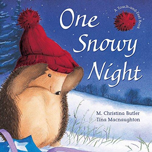 One Snowy Night