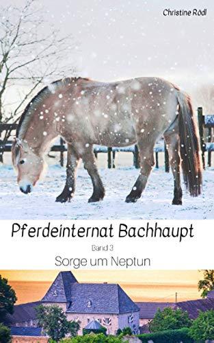 Sorge um Neptun (Pferdeinternat Bachhaupt, Band 3)