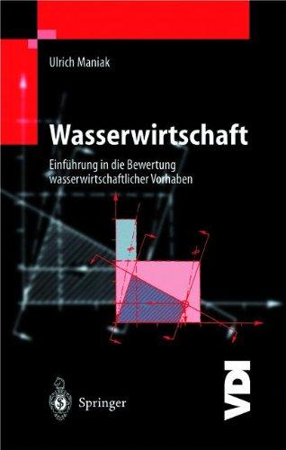 Wasserwirtschaft: Einführung in die Bewertung wasserwirtschaftlicher Vorhaben (VDI-Buch)