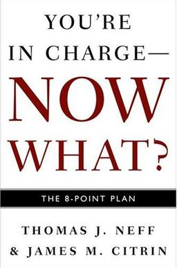 You're in Charge--Now What?: The 8 Point Plan