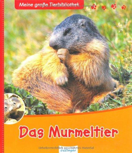 Das Murmeltier: Meine große Tierbibliothek