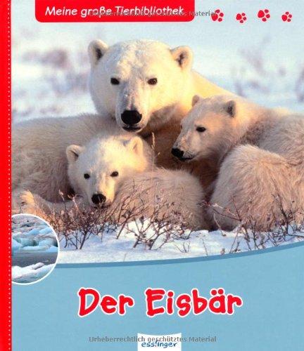 Der Eisbär