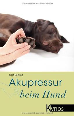 Akupressur beim Hund