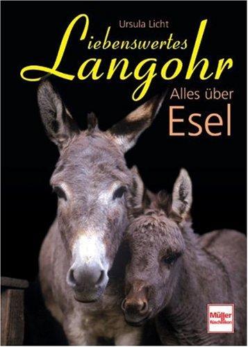 Liebenswertes Langohr: Alles über Esel