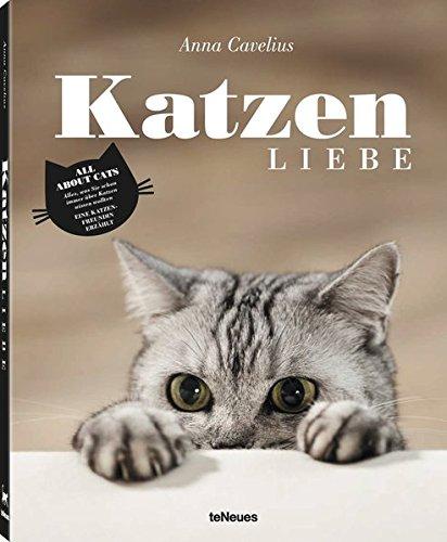 Katzenliebe