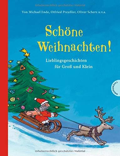 Schöne Weihnachten!: Lieblingsgeschichten für Groß und Klein