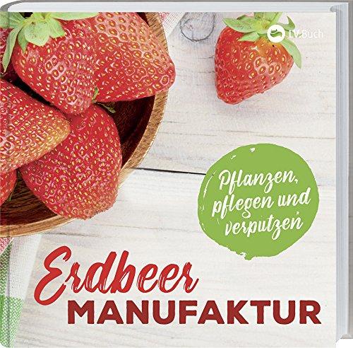 Erdbeer-Manufaktur: Pflanzen, pflegen und verputzen.