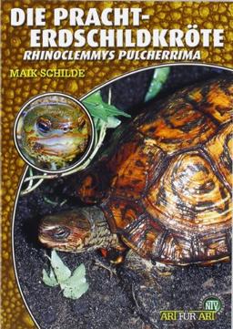 Die Pracht-Erdschildkröte: Rhinoclemmys pulcherrima