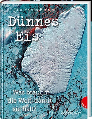 Dünnes Eis: Was braucht die Welt, damit sie hält?