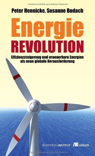 Energierevolution: Effizienzsteigerung und erneuerbare Energien als neue globale Herausforderung