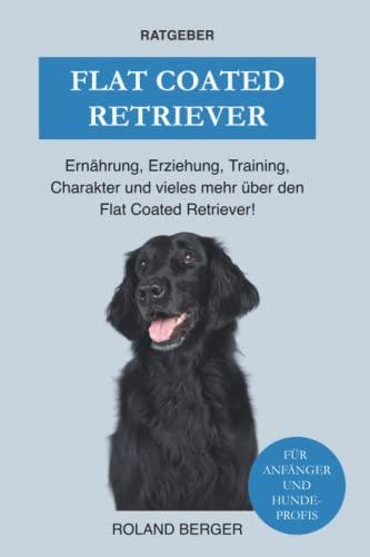 Flat Coated Retriever: Charakter, Training, Ernährung, Erziehung und vieles mehr über den Flat Coated Retriever