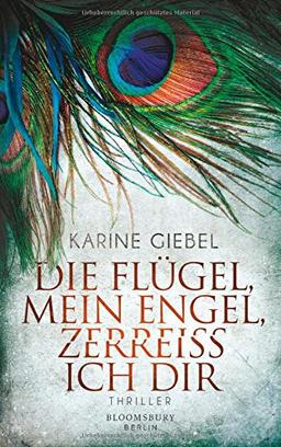 Die Flügel, mein Engel, zerreiß ich dir: Thriller