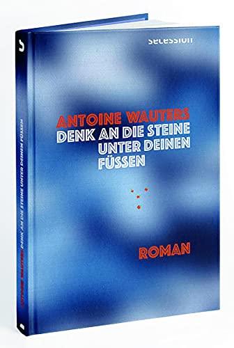 Denk an die Steine unter Deinen Füssen: Roman