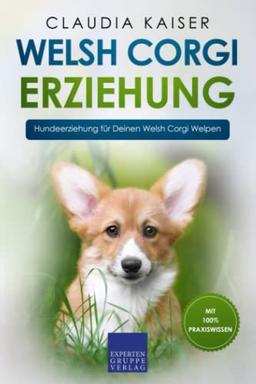 Welsh Corgi Erziehung: Hundeerziehung für Deinen Welsh Corgi Welpen