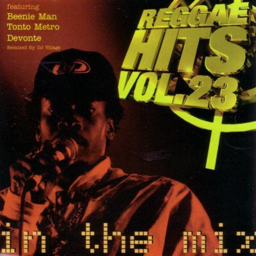 Reggae Hits Vol 23