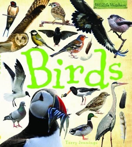 Birds (Wildlife Watchers)