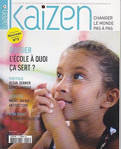 Kaizen N°3