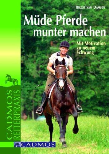 Müde Pferde munter machen: Mit Motivation zu neuem Schwung