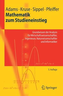 Mathematik zum Studieneinstieg: Grundwissen der Analysis für Wirtschaftswissenschaftler, Ingenieure, Naturwissenschaftler und Informatiker (Springer-Lehrbuch) (German Edition)