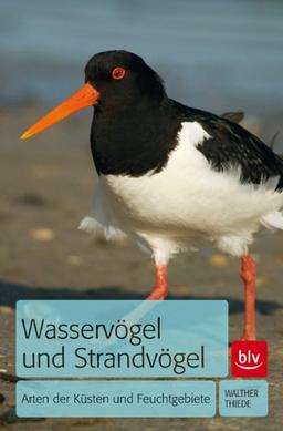 Wasservögel und Strandvögel: Arten der Küsten und Feuchtgebiete