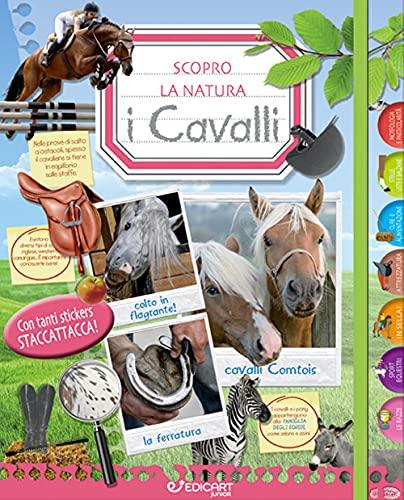 CAVALLI