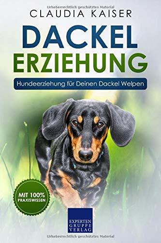 Dackel Erziehung: Hundeerziehung für Deinen Dackelwelpen (Teckel) (Dackel Band, Band 1)