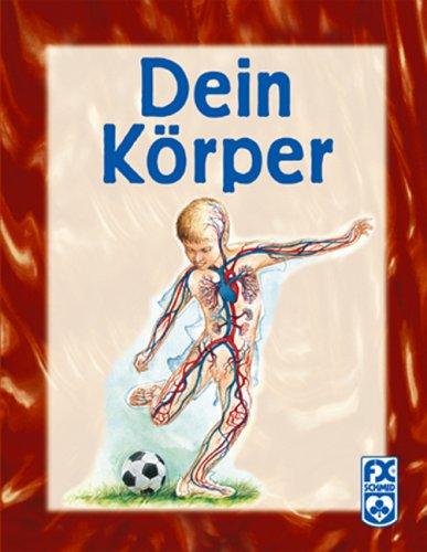 Dein Körper